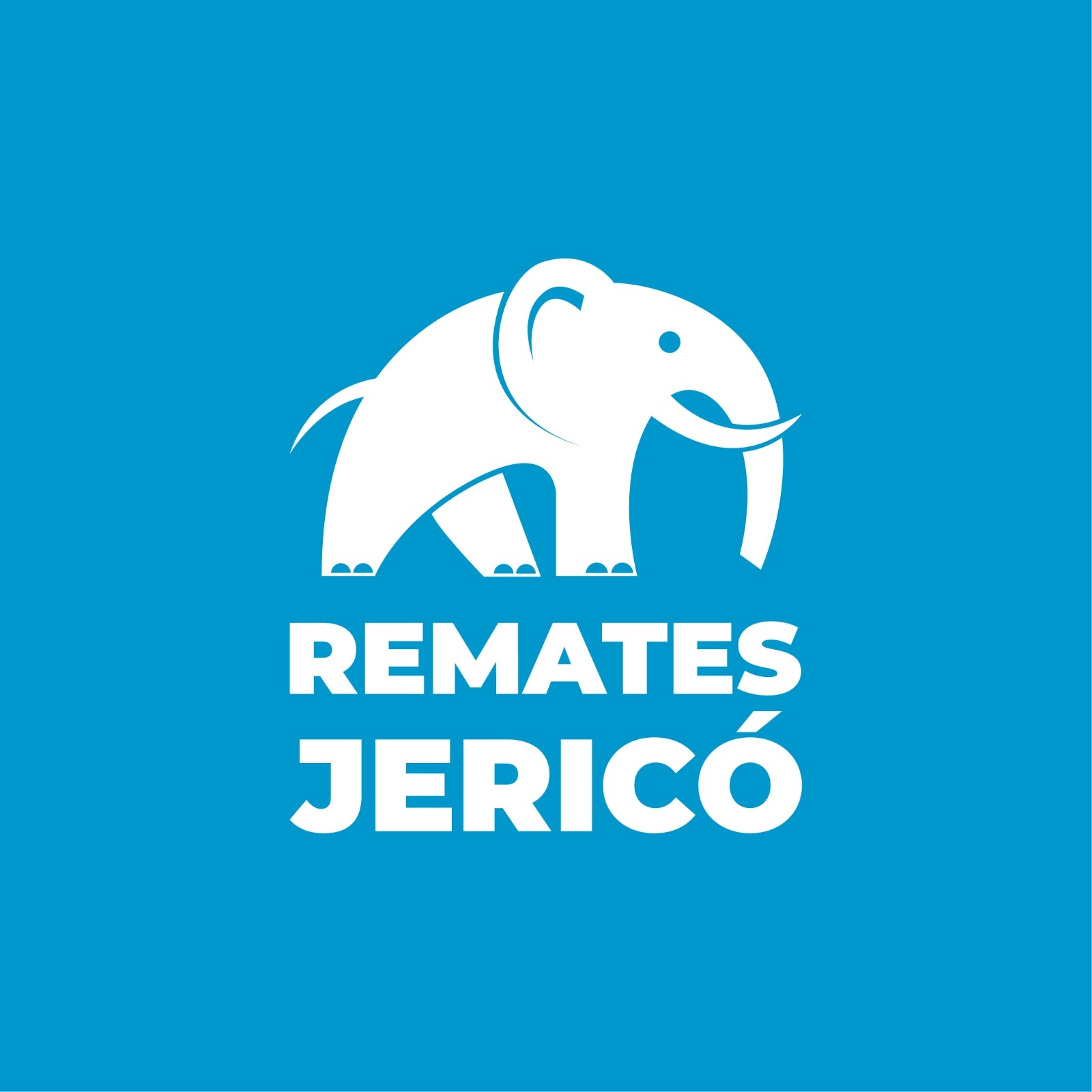 NOMBRE DEL NEGOCIO: REMATES JERICÓ